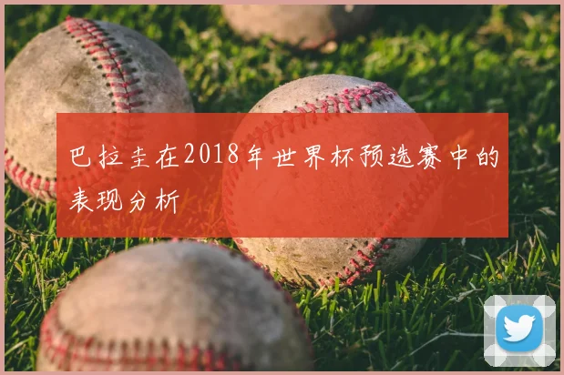 巴拉圭在2018年世界杯预选赛中的表现分析